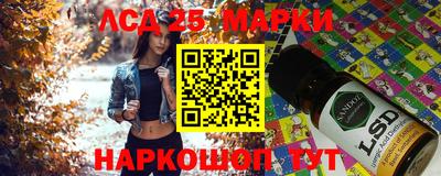 хмурый Гатчина