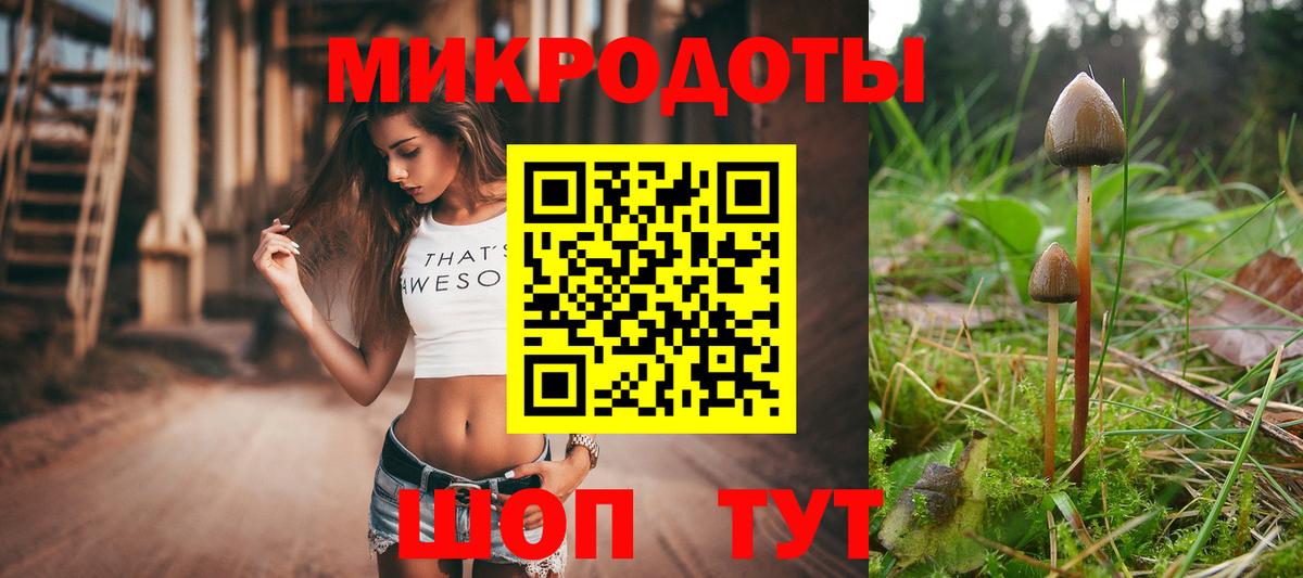 Галлюциногенные грибы Psilocybine cubensis Москва